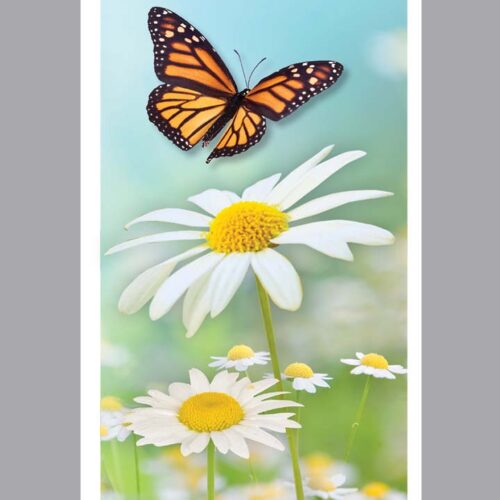 Prayer Card