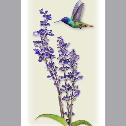 Prayer Card