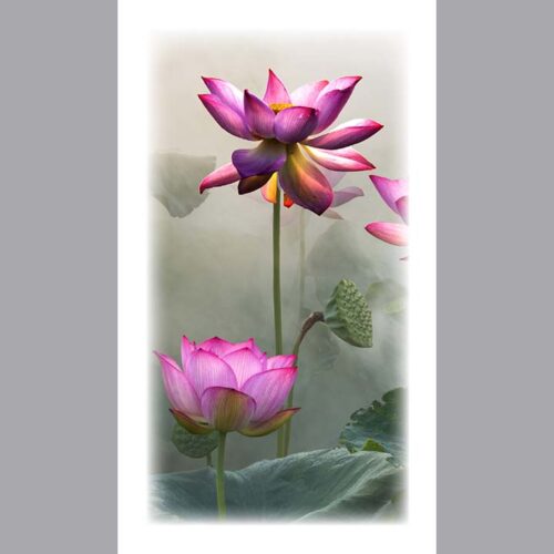 Prayer Card