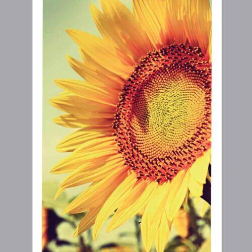 Prayer Card