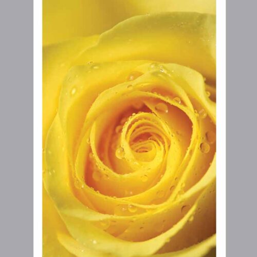 Prayer Card