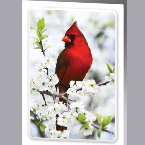 Acknowledgment Card