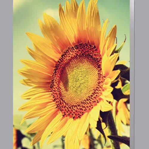 Acknowledgment Card