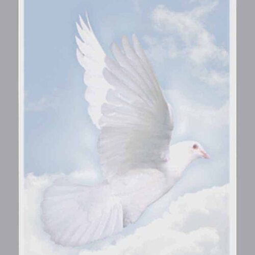 Acknowledgment Card