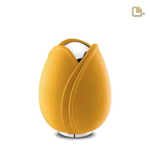 Cremation Urn